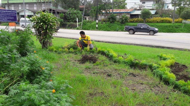 ปรับภูมิทัศน์  บริเวณสามแยกสวี  หมู่ที่ 7 ตำบลนาโพธิ์ อำเภอสวี จังหวัดชุมพร